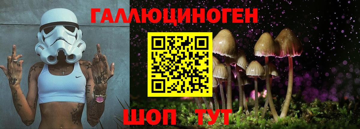 Тобольск  Псилоцибиновые грибы MAGIC MUSHROOMS  Галлюциногенные грибы Cubensis  Вход с VPN 